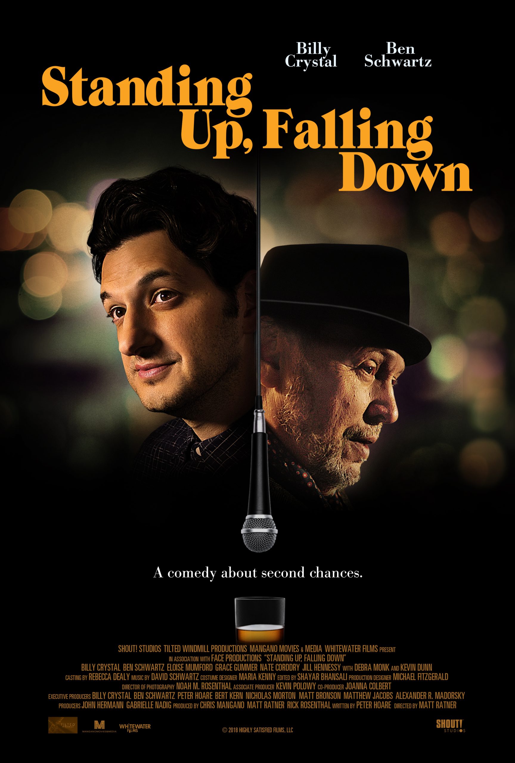 Standing Up, Falling Down (2019) Billy Crystal