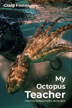 My Octopus Teacher (2020) บทเรียนจากปลาหมึก Craig Foster