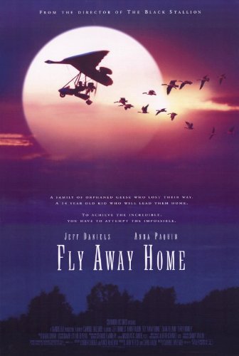 Fly Away Home (1996) เพื่อนรักสุดขอบฟ้า Jeff Daniels