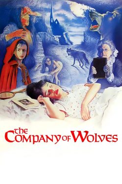 The Company of Wolves (1984) เขย่าขวัญสาวน้อยหมวกแดง Sarah Patterson