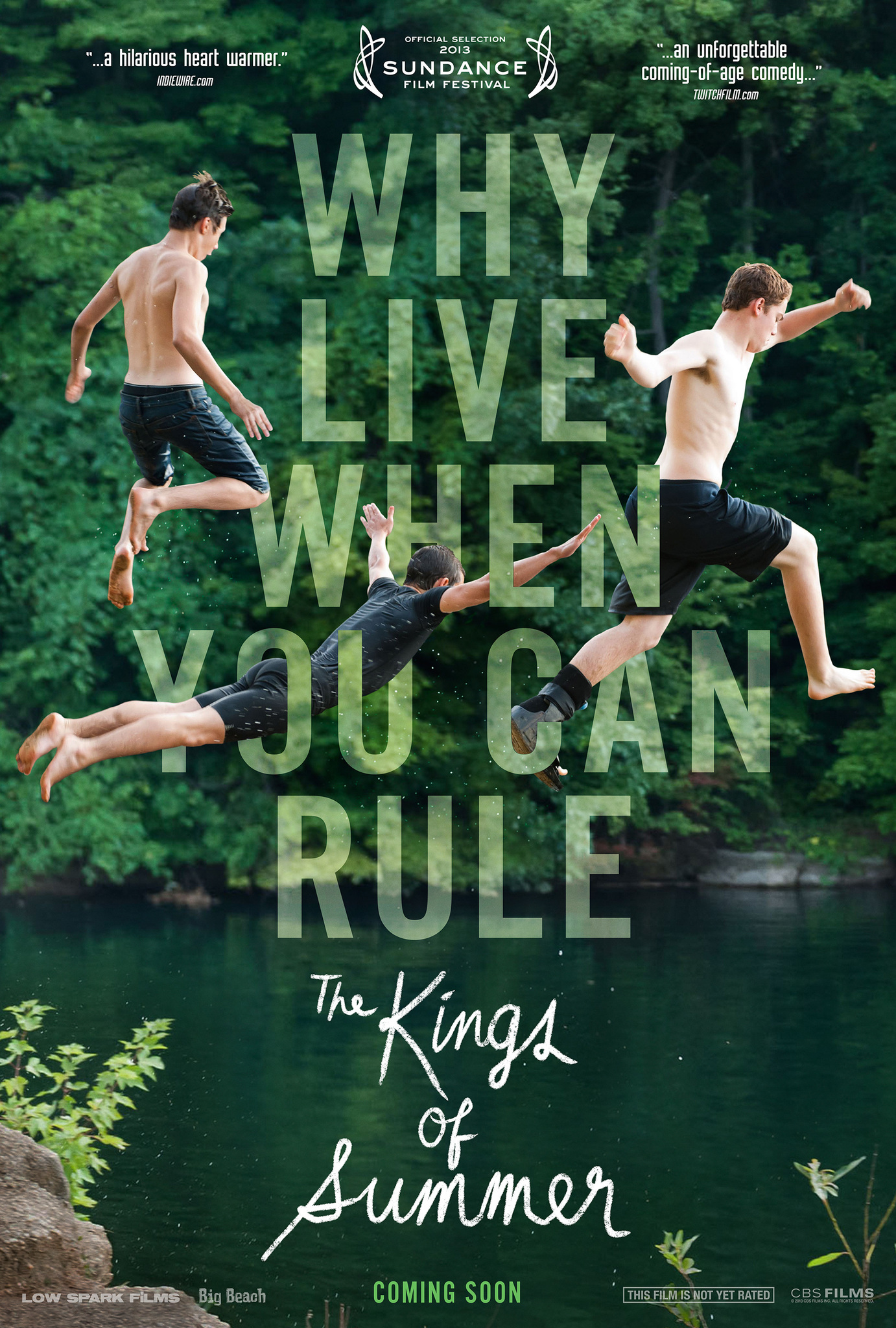 The Kings of Summer (2013) ทิ้งโลกเดิม เติมโลกใหม่ Nick Robinson