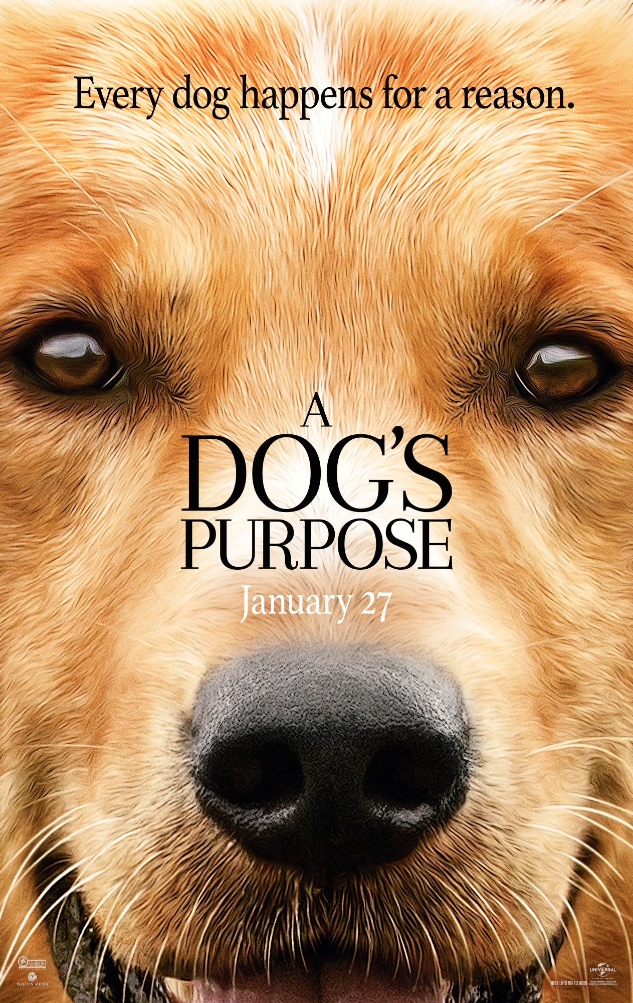 A Dog’s Purpose (2017) หมา เป้าหมาย และเด็กชายของผม Josh Gad