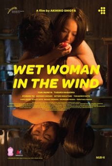 Wet Woman in The Wind (2016) ผู้หญิงเปียกในสายลม (Soundtrack ซับไทย) Tasuku Nagaoka