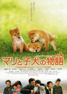 A Tale of Mari and Three Puppies (2007) เพื่อนซื่อ ชื่อ มาริ Yoshikazu Ebisu