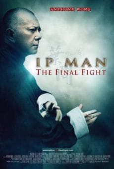 Ip Man The Final Fight (2013) หมัดสุดท้าย ปรมาจารย์ยิปมัน Anthony Chau-Sang Wong