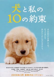 10 Promises to My Dog (2008) 10 ข้อสัญญาน้องหมาของฉัน Rena Tanaka