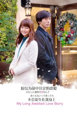My Long Awaited Love Story (2016) รักที่รอมาแสนนาน Mikako Tabe