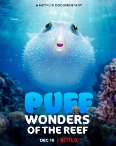 Puff: Wonders of the Reef (2021) พัฟฟ์ มหัศจรรย์แห่งปะการัง Rose Byrne