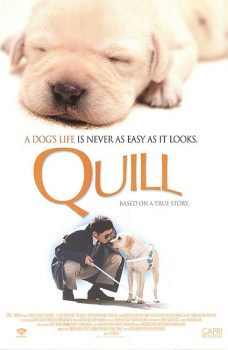 Quill: The Life of a Guide Dog (2004) โฮ่งฮับ เจ้าตัวเนี้ยซี้ร้อยเปอร์เซ็นต์ Kaoru Kobayashi