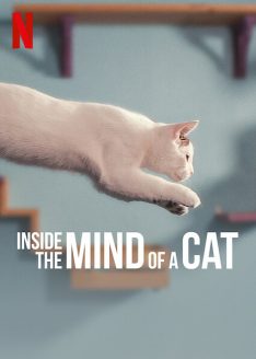 Inside the Mind of a Cat (2022) คิดแบบแมวๆ Neil Wilson