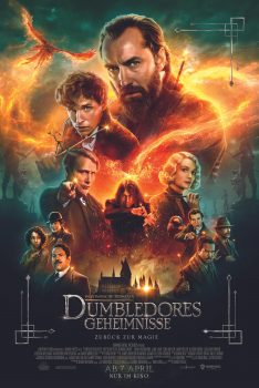 Fantastic Beasts The Secrets of Dumbledore (2022) สัตว์มหัศจรรย์ ความลับของดัมเบิลดอร์ Eddie Redmayne