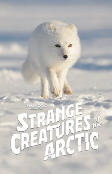 Strange Creatures of the Arctic (2022) Benedict Cumberbatch